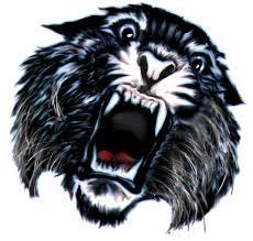 Wildcat Times V3-I9