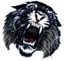 Wildcat Times V3-I9