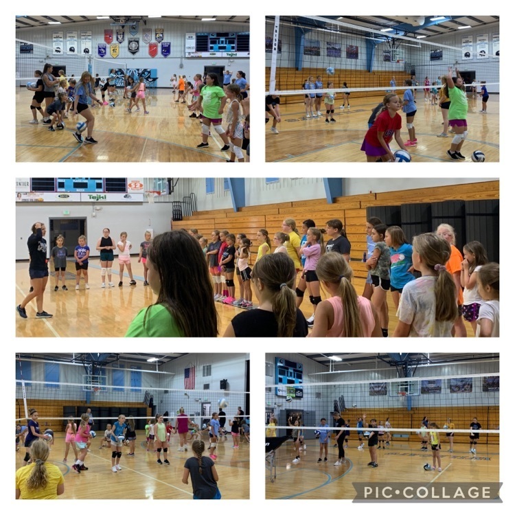 volleyball images
