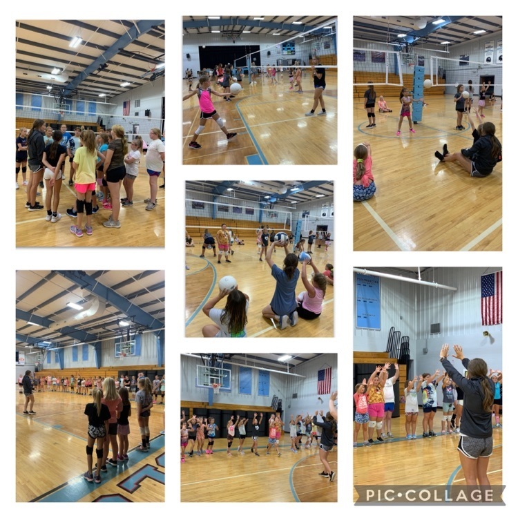 volleyball image