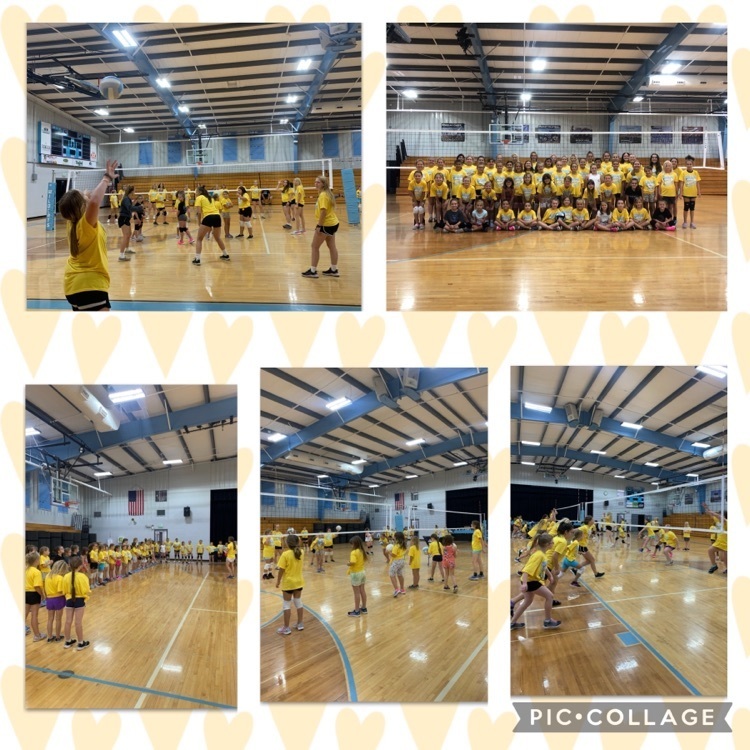 volleyball image