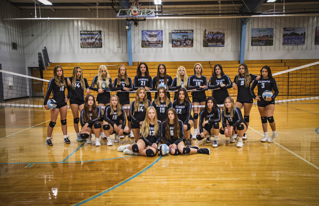 volleyball team picture